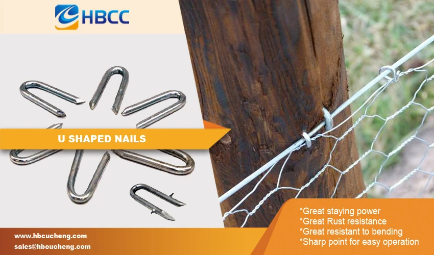 product-850-500 U Nails features