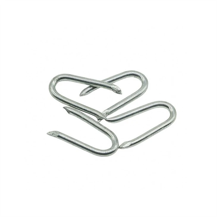 Galvanized U Nail